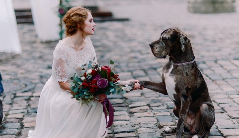 How to Include Your Pet in Your Wedding Day