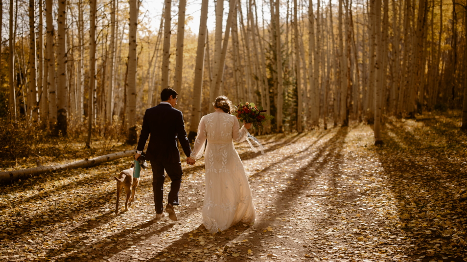 dog at your wedding