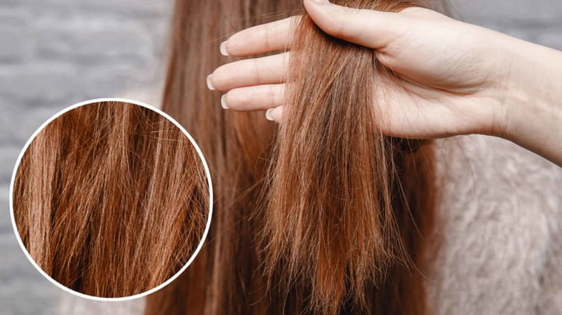 hair treatment for damaged hair